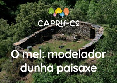 O Mel. Modelador dunha paisaxe