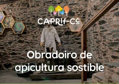 Obradoiro de apicultura sostible