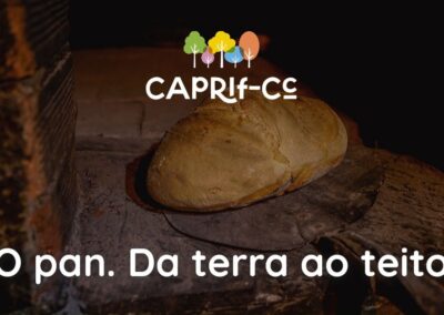 O Pan. Da terra ao teito.
