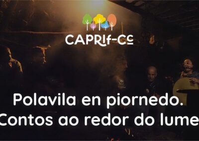 Polavila en Piornedo. Contos ao redor do lume.