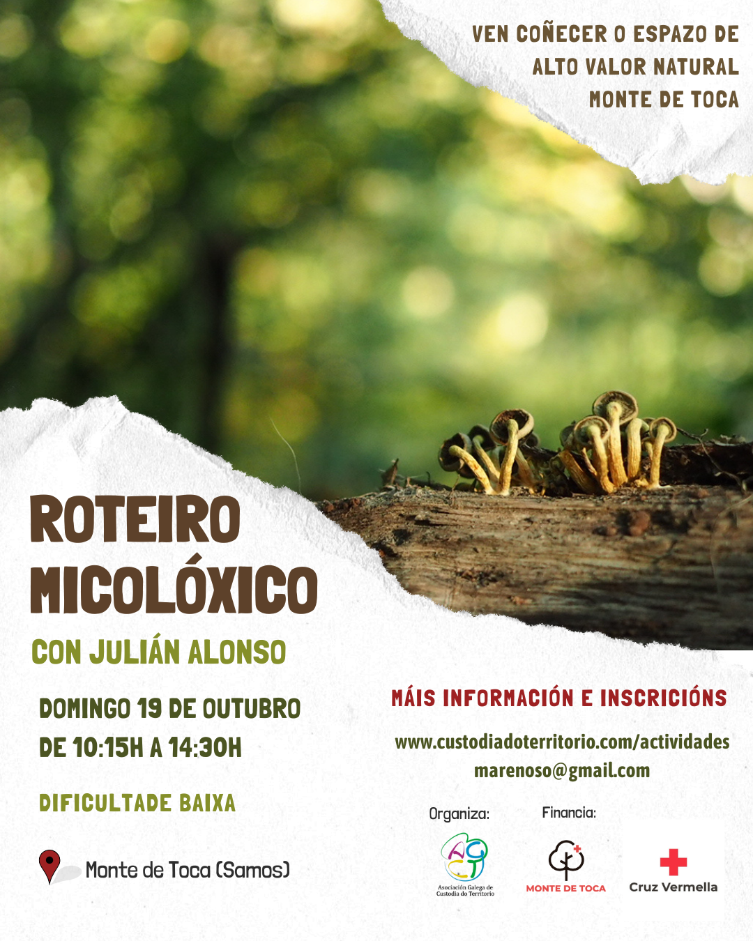 Micoloxía - Toca - 19 out (3)
