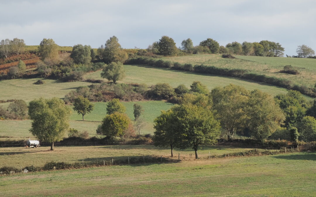 Roteiro paisaxístico Monte de Toca
