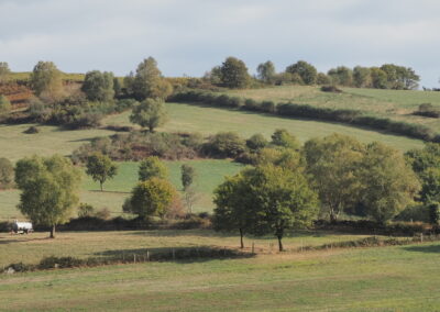 Roteiro paisaxístico Monte de Toca