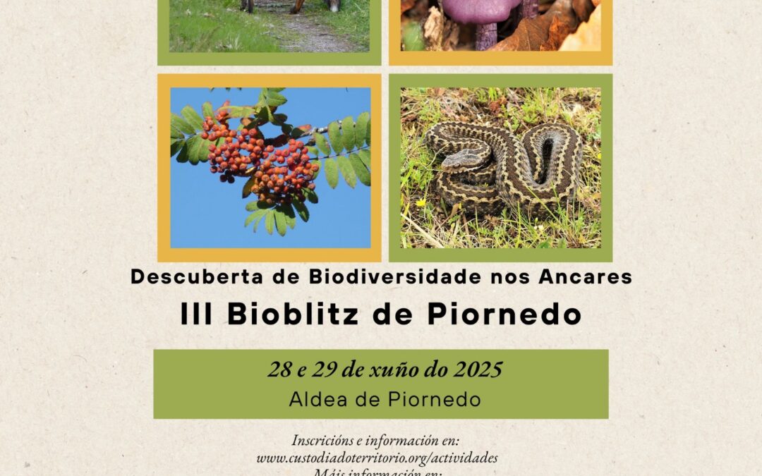 III Bioblitz en Piornedo