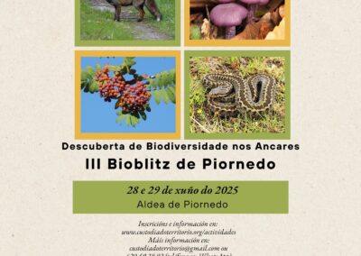 III Bioblitz en Piornedo