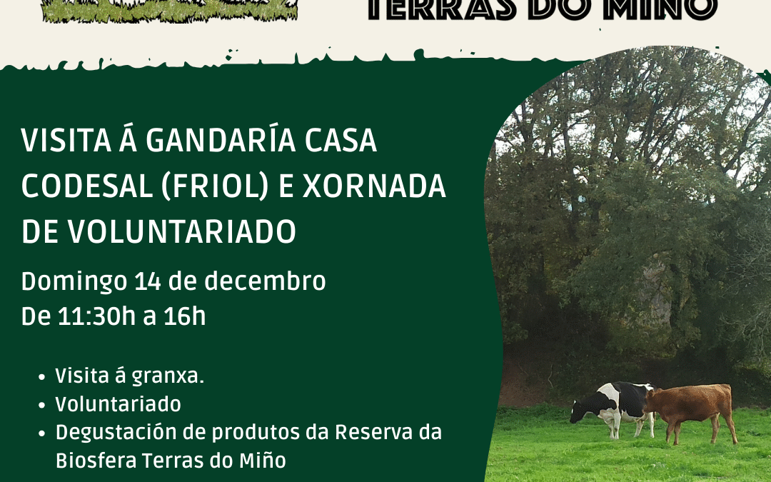 Visita e voluntariado Casa Codesal