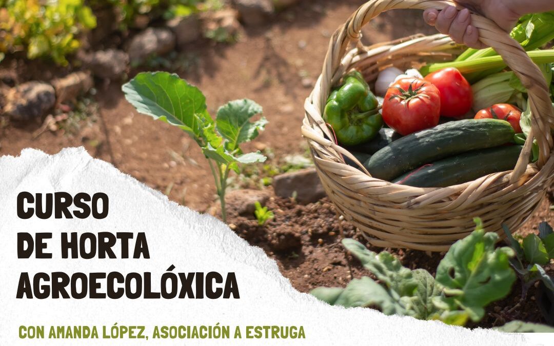 Curso Horta Ecolóxica