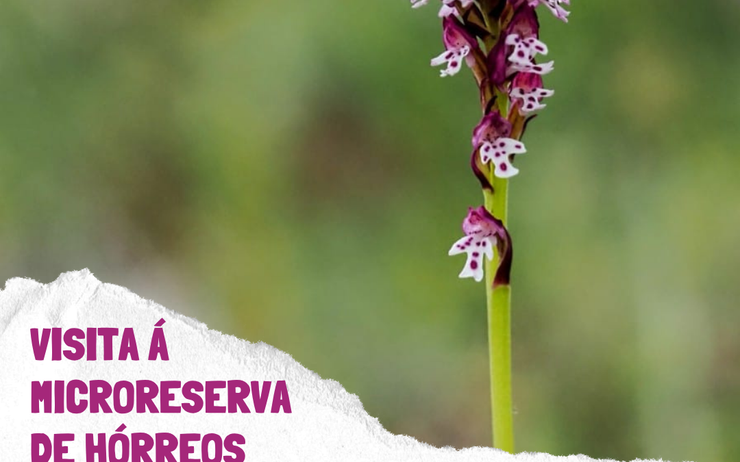 Visita á microrreserva de Hórreos