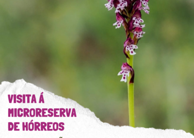 Visita á microrreserva de Hórreos