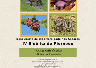 IV Bioblitz de Piornedo