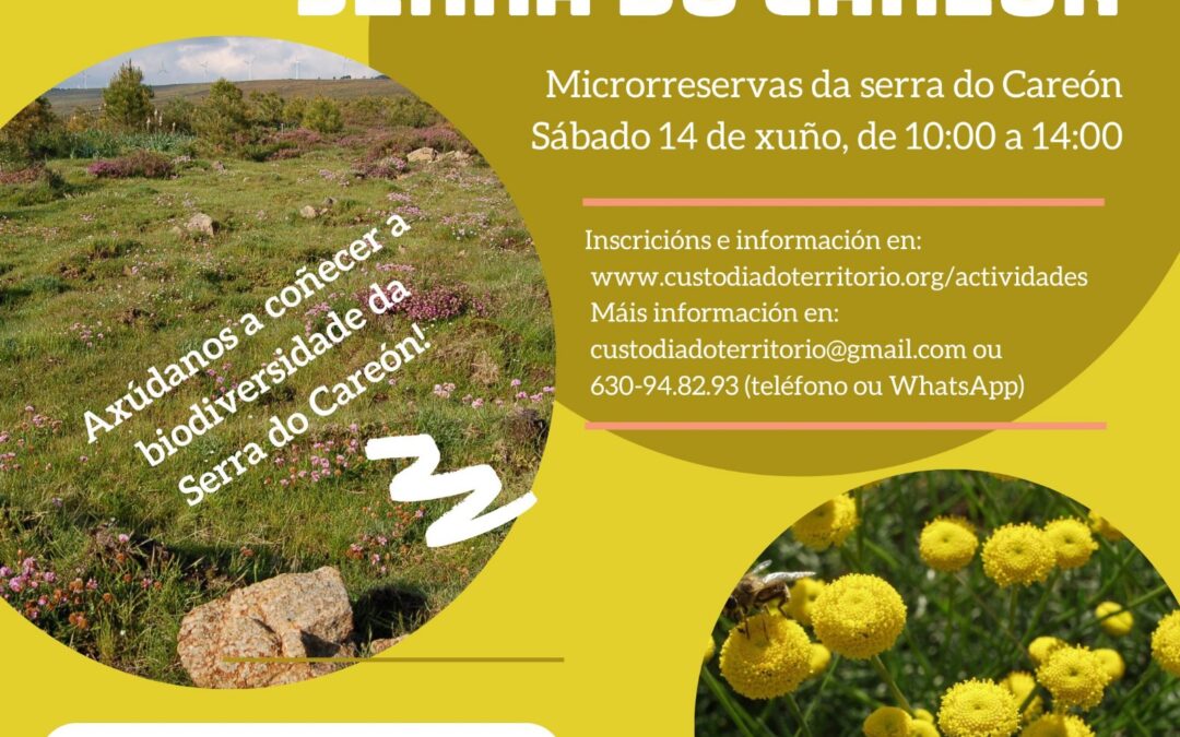 Bioblitz na Serra do Careón