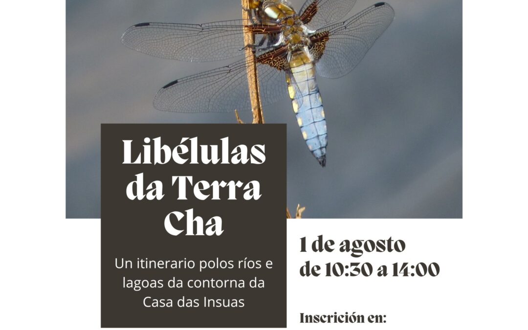 Libélulas da Terra Cha