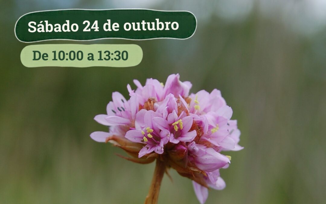 Voluntariado ambiental na Serra do Careón