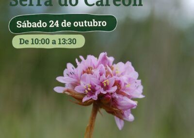 Voluntariado ambiental na Serra do Careón